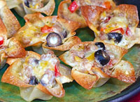 Appetizer and Snack Recipes