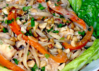 Chicken Noodle Salad with Spicy Peanut Dressing